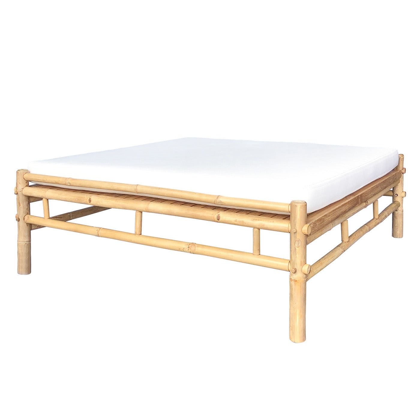 bambus extrakt pulver BIO ZAHNPFLEGE (Pulver) – Trust Nature GmbH main image 0