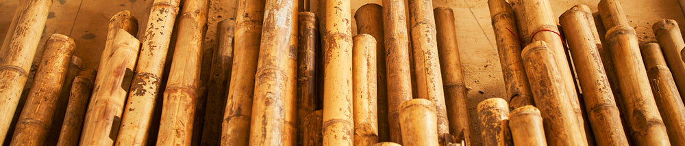 Why Bamboo